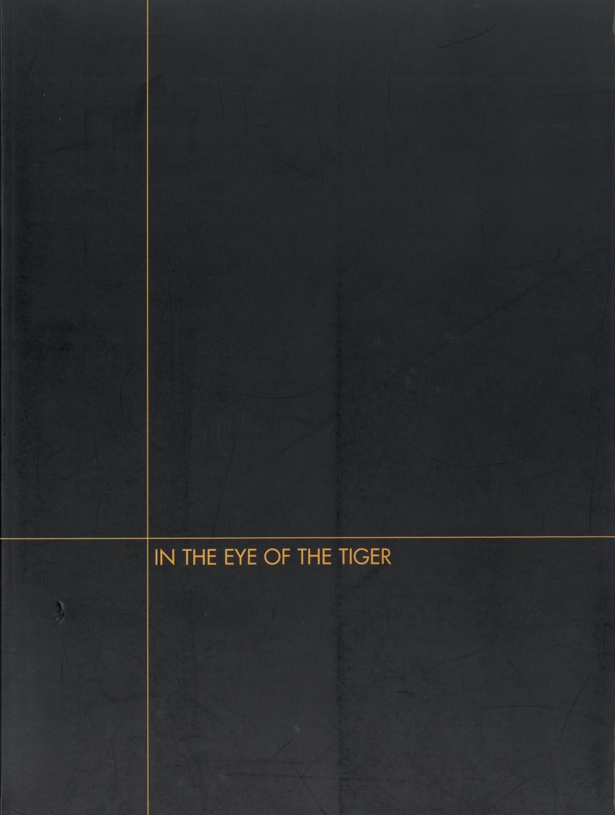  <i>In the Eye of the Tiger</i>, Catalogue, 1998, MMCA Art Library.